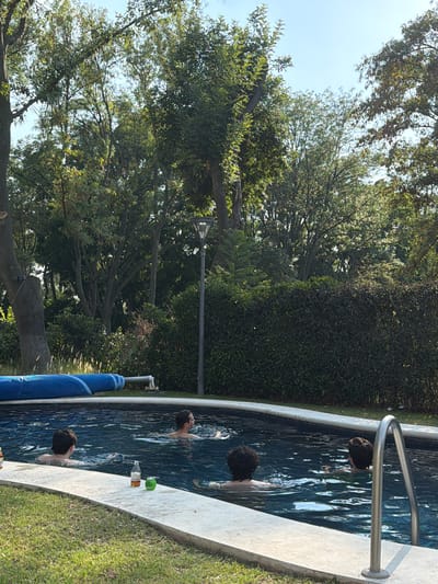 The photograph shows a swimming pool located outdoors, presumably in a backyard, in Santa Ana Yancuitlalpan (Chilhuacán), Mexico. The pool is a non-rectangular shape with a gray or dark blue interior. There are at least four people in the pool, with only their heads and shoulders visible above the water. A stainless steel pool ladder is present on one side. A blue pool noodle rests at the edge of the pool. On the pool’s edge, there are at least two glass containers, possibly a bottle and a drinking glass. The immediate surrounding area has well-maintained grass. The background shows an abundance of dense trees and foliage, with a light pole visible between them. The sky is partially visible through the trees and appears clear.