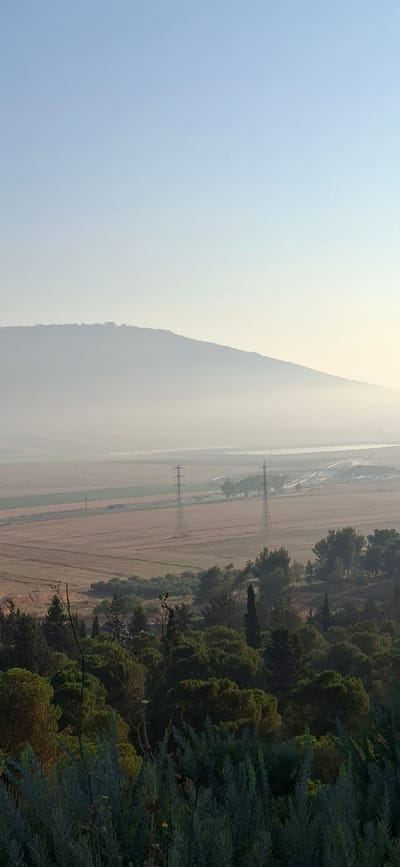 The image shows a wide shot of the Jezreel Valley Regional Council, Israel, under a clear blue sky that fades into a hazy horizon. In the foreground, a dense cluster of green trees and shrubs creates a natural border. Beyond this, the landscape opens up to reveal cultivated fields, with patches of brown and green suggesting agricultural activity. Two tall, lattice-style electricity pylons stand prominently in the mid-ground, connected by power lines that stretch across the fields. In the far distance, a large, softly-defined mountain range is visible, partially obscured by a light haze. The overall impression is one of a vast, open agricultural landscape bathed in the soft light of either early morning or late afternoon.