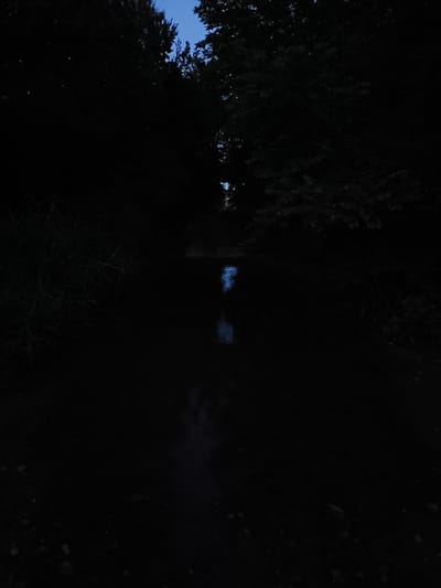 A nighttime photograph captures a dark, still body of water, likely a stream or river, reflecting the faint glow of the twilight sky. Dense foliage, appearing as dark masses of leaves and branches, overhangs the water on both sides, creating a sense of enclosure. The water itself is mostly black, with a small patch of lighter, rippling water near the center, possibly where light is catching the surface. The bank on the left side of the image features tall, dry grass or reeds. The ground in the foreground is dark and appears to be covered with small stones or debris. The overall scene conveys a sense of quiet solitude and the mystery of a natural landscape after dusk. The location is identified as Dimitrovche, Bulgaria.