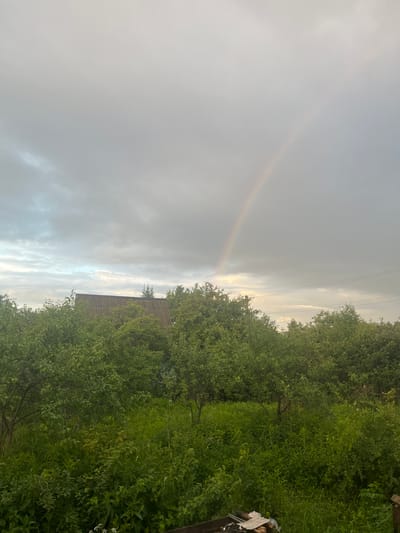 A muted landscape image depicts a cloudy sky with a faint rainbow arcing in the upper right quadrant. Below the sky, a dense canopy of green trees fills the mid-ground, with the grey, corrugated roof of a building peeking through the foliage on the left. The foreground is occupied by more lush greenery and tall grass. The scene appears to be a rural or semi-rural setting, possibly a garden or orchard, located in the village of Klobushnevo, Russia. There are no people or animals visible in the frame.
