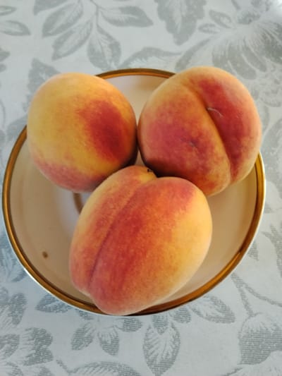Three ripe peaches are arranged in a shallow, light-colored bowl with a thin gold rim. The bowl sits on a white tablecloth patterned with light gray leaves. The peaches exhibit a gradient of color, transitioning from yellow to a blush of red. The lighting suggests an indoor setting, possibly a home or market stall, with no discernible environmental features indicating a specific location within the city of Yarkishlak, Uzbekistan.