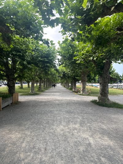 A tree-lined gravel path recedes into the distance, bordered on the left by a row of mature, leafy trees and on the right by a grassy area. Several people are walking on the path in the distance, appearing as small figures. The trees have broad trunks and dense green foliage. In the background, there are some white structures and what appears to be a body of water or lake, with boats visible. The sky is overcast, suggesting a cloudy day. The scene evokes a sense of tranquility and a leisurely stroll in a park or waterfront area. There is no visible text in the image. The location context is Kreuzlingen, Switzerland.