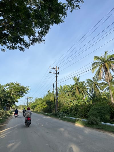 In Alurcucur, Indonesia, three individuals are riding motorbikes down a paved road, each following the other. The leading motorbike is ridden by a person wearing a red headscarf and a backpack, while the motorbike behind them has a rider wearing a light-colored patterned shirt and a beige backpack. The furthest motorbike is ridden by a person in dark clothing. The road is lined with lush green vegetation, including palm trees and other tropical foliage, and a large tree with dark green leaves partially obscures the upper left corner of the frame. Overhead, a clear blue sky is crisscrossed with power lines supported by wooden utility poles. The lighting suggests it is late afternoon, casting long shadows on the road.