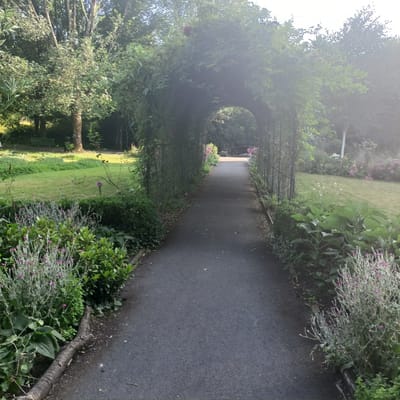 The image depicts a paved pathway winding through a park-like setting in the Municipal District of Adare—Rathkeale, Ireland. The pathway is covered by a green archway formed by dense foliage and flowers, creating a natural tunnel effect. On either side of the path, there are lush green lawns, trees, and various types of plants and flowers, some with small pink blossoms. The lighting suggests it is daytime, with sunlight filtering through the trees, creating some lens flare and hazy areas in the upper portion of the image. In the background, a wrought-iron fence and more greenery can be observed. There are no people or animals visible in the frame. The overall scene is serene and natural.