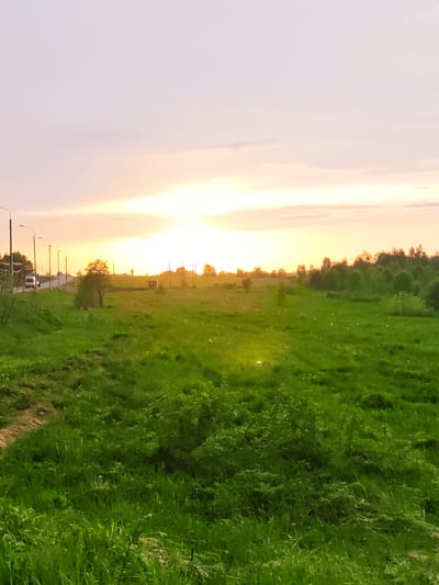 The image depicts a field in Курово, Russia at sunset. The foreground is filled with green grass and low-lying vegetation. A dirt path is visible on the left side of the frame. In the midground, the field extends toward a road lined with streetlights and a passing white vehicle. A small structure and scattered trees can be seen further back in the field. The sky is a mix of orange and pink hues, indicating sunset or sunrise.