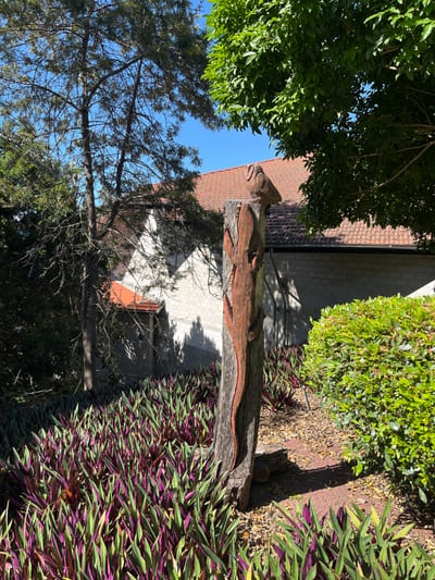 The image presents an outdoor scene dominated by a tall, carved wooden totem pole, standing vertically in what appears to be a garden or landscaped area. The totem pole, crafted from a tree trunk, features intricate carvings. At its top, a stylized head or face is visible, with a prominent snout or mouth. Below this, a long, slender, snake-like or lizard-like creature is carved into the pole, winding its way down the length of the wood, characterized by its reddish-brown color against the lighter bark of the trunk.
The totem pole is surrounded by diverse plant life. To the left, a large tree with dense green foliage occupies the upper portion of the frame, with bright blue sky peeking through its branches. Another tree with thinner, darker branches stands further left and lower. To the right and in the foreground, a vibrant bed of plants with long, strap-like leaves, displaying distinctive green and purple coloring, forms a border along the ground. Behind these plants and partially obscured by greenery, a light-colored building with a reddish-brown tiled roof is visible. The ground cover consists of soil or mulch, with some low green bushes further back on the right.
The scene appears to be set on a bright, sunny day, indicated by the clear blue sky and visible shadows. The overall impression is one of a tranquil outdoor space, possibly a park or private garden. The location is Kelvin Grove, Australia, as provided. There is no visible text within the image.
