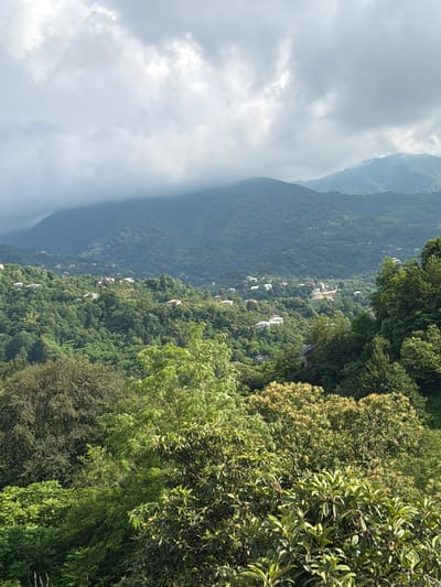 The image captures a view of a village nestled on a lush green mountainside. The scene is dominated by dense foliage and the undulating terrain of the mountains. Several white houses with red-tiled roofs are scattered across the slope, indicating a settlement.
In the foreground, the vibrant green leaves of trees create a natural frame for the scene. Further back, the mountains recede into the distance, with some peaks shrouded in a soft, hazy layer of clouds. The sky is overcast, suggesting a cloudy or possibly rainy day. The overall impression is one of a tranquil, remote mountain village.
The image appears to be taken from a slightly elevated vantage point, looking down and across the valley. The presence of houses and vegetation points to a rural or semi-rural environment. There is no visible text in the image. The time of day is indeterminate due to the overcast conditions, but the light suggests it is daytime. The mood is serene and natural, emphasizing the beauty of the landscape.