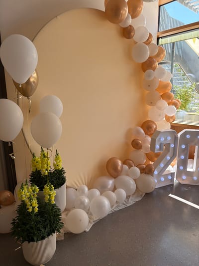 The image depicts a festive scene, likely a birthday or anniversary celebration, featuring a balloon arch and illuminated number props. The backdrop is a large, light tan circular fabric stretched taut, creating a smooth, uninterrupted surface.
A balloon arch, composed of alternating white and metallic gold balloons of various sizes, gracefully curves from the bottom left corner of the frame, ascending and then descending towards the right. The balloons are arranged in a dense, organic flow, with some clusters appearing more tightly packed than others.
In the foreground, two potted plants with vibrant yellow flowers are placed on the left side. The pots are ribbed and white, providing a textural contrast to the smooth balloons and fabric.
Prominently displayed on the right side of the image are two large, illuminated number props, shaped like the digits "2" and "0". These props are white with multiple round, blue LED lights embedded within them, suggesting they spell out "20". They stand upright on the floor, casting a soft glow.
The floor is a speckled gray material, possibly concrete or a similar industrial flooring. The scene is illuminated by natural light entering from a large window visible on the upper right, which reveals a glimpse of an outdoor staircase and greenery, suggesting an indoor-outdoor space. The overall color palette is warm and celebratory, dominated by the gold and white of the balloons, the light tan of the backdrop, and the bright blue of the illuminated numbers. There are no people visible in the image. The setting appears to be a modern building or event space.