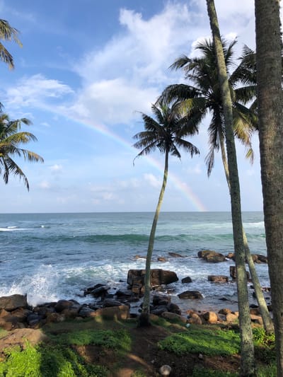 A beach scene in Dondra, Sri Lanka is depicted with palm trees framing the view of the ocean and a segment of a rainbow visible in the sky. The foreground consists of palm trees, with their trunks and fronds visible against the sky. In the midground, the ocean waves meet a rocky shoreline where vegetation grows on the land. A rainbow arcs from the ocean to the sky. The overall scene has a natural, tropical feel, with elements of the sky, ocean, and vegetation all interacting.