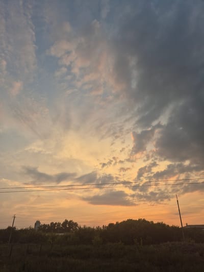 The image captures a sunset over a semi-rural area, likely on the outskirts of Новоишимское, Kazakhstan. The sky dominates the upper portion of the frame, filled with a mix of light blue, soft orange, and dark gray clouds, indicative of changing weather patterns or the dramatic colors of twilight. Wispy cirrus clouds are visible against the lighter blue sky, interspersed with more textured, darker clouds that are beginning to obscure the sun.
Below the sky, a line of trees forms a dense, dark silhouette across the middle ground, separating the sky from the foreground. The trees appear to be deciduous and are lush with foliage, suggesting a warmer season. Interspersed within the treeline are hints of man-made structures, including what appears to be a tall, multi-story building with visible windows on the left side, and a smaller, darker structure partially obscured on the right. Power lines are strung across the scene, supported by utility poles. One pole is prominently visible on the left, leaning slightly, while another, thinner pole is seen on the right.
The foreground consists of overgrown grass and vegetation, with some evidence of a wire fence or barrier running horizontally. The overall lighting suggests late afternoon or early evening, with the sun casting a warm glow on the lower clouds. No people or animals are visible in the image. The scene evokes a sense of quietude and the transition from day to night in a landscape where nature and rudimentary infrastructure coexist.