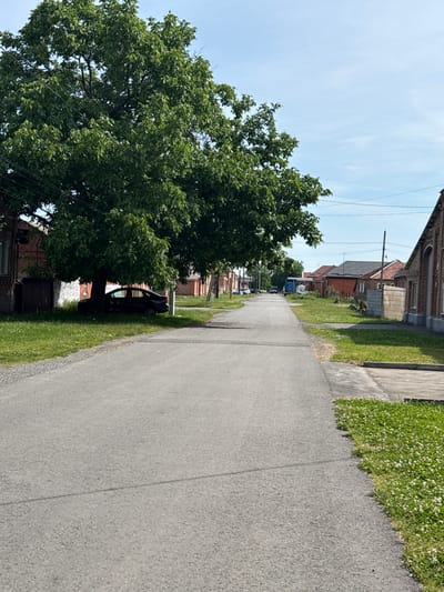 The image depicts a street scene in Nogir, Russia, oriented vertically. A paved road runs diagonally from the bottom right to the top left of the frame, bordered on the left by a strip of green grass and a large, leafy tree. To the left of the tree, various houses and buildings are visible, constructed with brick and other materials, some featuring red-tiled roofs. In the distance along the road, several vehicles, including a blue truck, are parked or driving. The weather appears sunny with a clear blue sky. The time of day seems to be daytime, likely late morning or afternoon, given the brightness and shadows. The scene conveys a sense of everyday life in a semi-rural or suburban environment. No text is visible in the image.