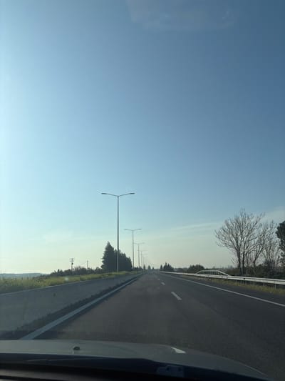 The image depicts a straight stretch of a multi-lane asphalt highway, likely within the Municipal Unit of Platykampos, Greece, as viewed from the interior of a vehicle. The vehicle's dark dashboard is visible across the bottom of the frame. Above, a clear, light blue sky occupies approximately the upper two-thirds of the image, showing no significant clouds. The road features white dashed and solid lane markings. Along the left side of the highway, a light grey concrete barrier (Jersey barrier) separates the road from a grassy verge, beyond which a line of dark green conifer trees extends into the distance. Utility poles are visible further back on the left. Along the right side, a metal guardrail runs parallel to the road, with sparse vegetation, including a prominent, leafless deciduous tree, behind it. In the far distance on the right, a white bridge structure is faintly discernible. Numerous tall, grey streetlights with horizontal fixtures line both sides of the highway, receding in perspective towards the horizon. No people or other vehicles are visible on the road. The lighting indicates daytime conditions, with soft illumination.