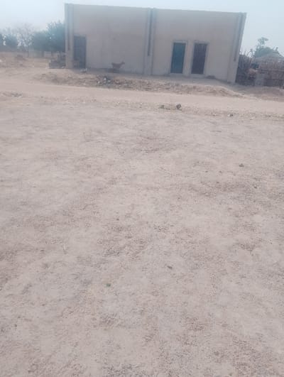 The image depicts a dry, unpaved dirt road or open ground area within Kanwa, Nigeria, under a hazy sky. In the mid-ground, a light-colored, single-story building with a flat roofline and unpainted or lightly painted walls is visible. This building features one brown, rectangular door on its left side and two identical, darker blue-green rectangular doors centrally located on its facade. To the immediate left of the building, a brown goat stands facing right, near the left door. A second, smaller, light-colored goat is partially obscured by a low mound of dirt and debris to the left of the first goat. To the far right of the main building, a traditional dwelling with a conical thatched roof is partially visible, appearing behind a low wall constructed from stacked materials. Sparse, dry vegetation and scattered debris are present on the ground in front of the building and along the perimeter of the scene. No human figures are present.