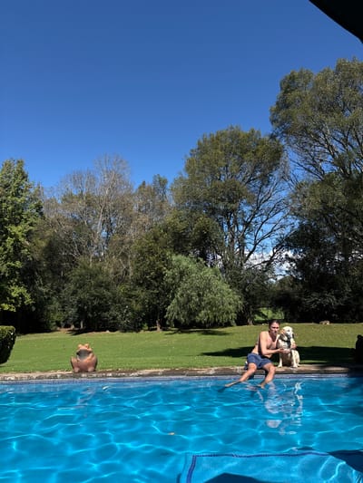 The image depicts an outdoor scene in Huasca de Ocampo, Mexico, featuring a male and a dog positioned beside a swimming pool under a clear blue sky. A young adult male, shirtless and wearing dark blue swim trunks, sits on the tiled edge of a rectangular swimming pool, with his legs submerged in the vibrant blue, rippled water. To his immediate right, a light-colored, possibly Labrador-type dog, is seated upright on the green grass, looking towards the camera. The male's left hand is positioned near the dog's head. To the left of the pool's edge, a reddish-brown frog-shaped garden statue rests on the lawn. The background consists of a well-maintained green grass lawn bordered by a dense array of trees with varying foliage, including both green and bare branches, under bright daylight conditions.
