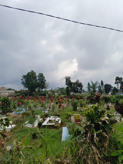 This image presents a wide, static view of a cemetery under a uniformly overcast sky. The upper third of the frame consists of a heavy, light-grey cloud cover, bisected horizontally by a single, thin, dark power or communication line stretched across the top.

The midground and foreground are occupied by a dense arrangement of grave sites. These grave markers are predominantly rectangular structures, constructed from light-colored materials, some appearing to be tiled concrete or stone. Several graves feature borders highlighted with light blue or white tiles. The cemetery ground is covered in green grass, interspersed with various forms of vegetation. Some areas show wild growth, while others contain cultivated plants, including numerous small bushes with green foliage and clusters of plants exhibiting vibrant red, maroon, and yellow-orange leaves. No individuals are present, nor are any actions or interactions depicted.

In the background, a line of medium to tall trees with dark green leaves forms a dense natural border for the cemetery. To the far left background, several simple, low-rise, light-colored buildings are partially visible, suggesting structures adjacent to the cemetery grounds. The distant landscape beyond the trees appears slightly undulating with further vegetation. The lighting is soft and diffuse, characteristic of an overcast day, resulting in an absence of harsh shadows. The exact location within Vientiane Capital, Laos, as specified, cannot be visually confirmed from the details within the image itself.