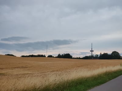 This image depicts a rural landscape in Kasseedorf, Germany, under an overcast sky. A vast field of golden wheat dominates the foreground, stretching across rolling hills. Tall, dry grasses line the right edge of the image, bordering a paved road. In the middle ground, a dense line of dark green trees forms a backdrop to the wheat field. Two prominent towers are visible against the cloudy sky: a slender, tall radio mast in the distance on the left, and a more substantial, multi-tiered broadcasting tower with a platform in the center-right. The scene is devoid of any people or animals. The overall impression is one of a quiet, agricultural setting at dusk.