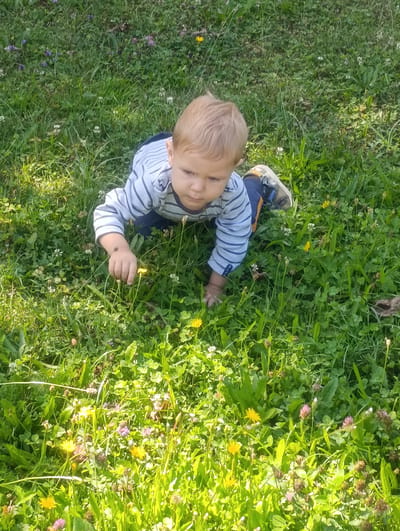 An overhead, eye-level shot captures a toddler crawling on a grassy area dotted with small yellow and purple flowers. The toddler, with blond hair and wearing a blue and white striped long-sleeved shirt, blue pants, and shoes, is focused on something in the grass. Their right hand is extended, reaching towards a small yellow flower. The ground is covered in lush green grass, clover, and various wildflowers, suggesting an outdoor environment such as a park or a garden in Luhačovice, Czechia. The lighting indicates it is daytime, with sunlight casting shadows and highlighting patches of the grass.