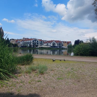 The image captures a waterfront scene in Mrągowo, Poland. In the foreground, a gravel path borders a grassy area with scattered pebbles and small green plants. Several pigeons are present on the grass. Tall, green reeds or grass are visible on the left side of the image, partially obscuring the view.
Across a calm body of water, a row of white buildings with red-tiled roofs lines the opposite shore. These buildings appear to be a mix of residential and commercial properties, with balconies and awnings visible. The reflections of the buildings and the sky are visible on the water's surface.
The sky is blue with scattered white clouds. The overall impression is a tranquil day by the lake, with the urban landscape of Mrągowo in the background.