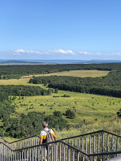 A man with graying hair, wearing a white t-shirt with yellow stripes and gray shorts, walks down a metal staircase while carrying a gray backpack. He is facing away from the camera. The staircase leads down to a lush green valley with scattered trees and fields, bordered by a dense forest in the background. Beyond the forest, a hazy landscape stretches to the horizon under a clear blue sky with a few scattered white clouds. The scene appears to be a scenic overlook in Akhmerovo, Russia.