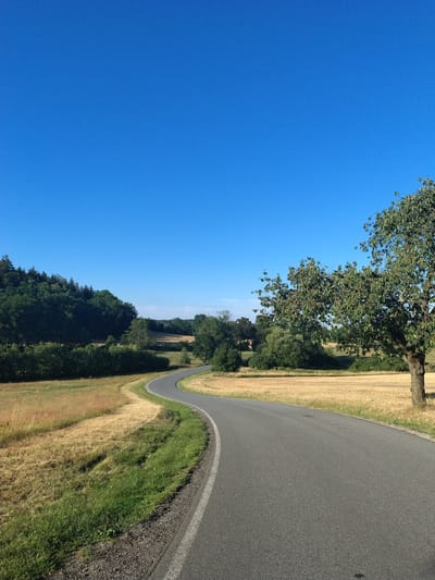 An asphalt road curves through a rural landscape under a clear blue sky. The road is in the foreground and to the right of the image, with a white line marking the edge. To the left of the road, a field of dry, golden grass stretches into the distance, bordered by a strip of green grass and then a dense forest of dark green trees. In the background, rolling hills are visible, with more trees and some distant buildings. A large tree with green leaves stands on the right side of the road, its branches extending over the field. The overall scene depicts a peaceful, rural setting in the countryside near Čížová, Czechia.