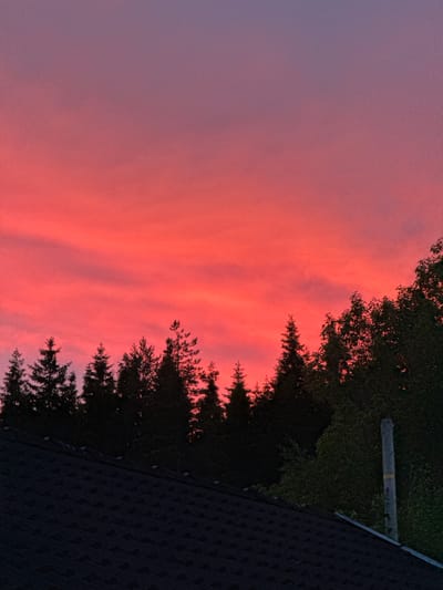 The image depicts a vibrant sunset over a silhouette of trees and a rooftop in Åmot, Norway. The sky is a gradient of deep purple at the top, transitioning to bright pink and then a fiery red. Wispy clouds are scattered across the pink and red portions of the sky, adding texture. Silhouetted against the colorful sky are a line of coniferous trees, some appearing taller and more defined than others. In the foreground, the dark, textured surface of a rooftop occupies the bottom portion of the frame, sloping upwards from left to right. A grey pole with a yellow stripe is visible to the right of the trees. The scene is set during twilight, with the vibrant colors of the sunset dominating the upper half of the image.