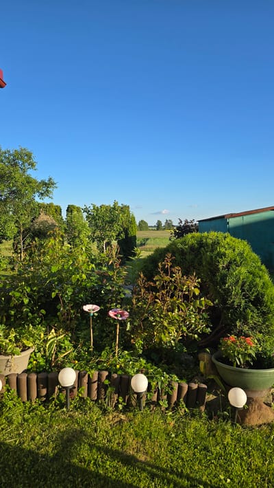 This is a vertical, outdoor photograph taken in Atkočiai, Lithuania, showing a garden with various plants and a blue sky. In the foreground, a low wooden border made of round logs separates the lawn from a flower bed. There are at least three white globe garden lights on stakes in the grass. Behind the border, a variety of greenery is visible, including bushes and some rose bushes with budding flowers. Two decorative garden stakes with pink flower-shaped tops are placed in the flower bed. To the right, a large, rounded green bush is prominent, next to a large green planter holding red flowers. In the background, a green building with a reddish-brown roof is partially visible on the far right. Beyond the garden, a field stretches into the distance under a clear blue sky with a few wispy clouds. The sun appears to be setting or rising, casting a warm light on the scene.
