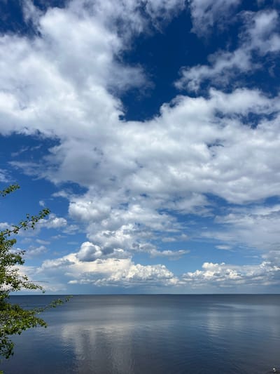 A serene landscape captures a vast expanse of calm, dark blue water under a partly cloudy sky. The sky is a vibrant blue with scattered white and gray cumulus clouds, some appearing large and puffy, while others are thinner and wispy. A distant horizon line separates the water from the sky. On the left side of the frame, the edge of a tree branch with green leaves and a few red berries extends into the scene from the upper left corner, partially obscuring the sky and water. The water reflects the sky and clouds, creating a shimmering, slightly distorted mirror image. The scene appears to be a natural setting, possibly a lake or sea, with no man-made structures or people visible. The location is identified as Lyutizh, Ukraine.