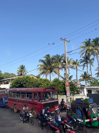 The image captures a street scene in Maggona, Sri Lanka, under a clear blue sky. A red bus is parked on the right side of the road, with several people visible inside. In front of the bus, a man on a motorcycle waits. To the left of the bus, a blue three-wheeled vehicle is also present. Several other motorcycles and riders are scattered throughout the scene, indicating traffic. Palm trees line the background, suggesting a tropical or subtropical environment. A utility pole with electrical wires stands in the middle of the frame, with a few birds perched on the wires. A red and white barrier is visible in the lower right corner, and several blue and green crates are stacked on top of a vehicle. A political poster is attached to the utility pole, featuring text in a foreign language. The overall impression is that of a busy street with mixed traffic and local elements.
