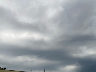 The image depicts a cloudy sky with several birds in flight over the city of Świdnica, Poland. The clouds are varied in density, ranging from light and wispy to dark and heavy, suggesting overcast conditions. In the foreground, the tops of buildings are visible, including a structure with a pitched roof and an antenna, as well as a chimney. Several birds, appearing as small dark specks, are scattered throughout the sky. One bird is clearly visible in the middle right of the frame, and others are smaller and harder to discern. The overall impression is a somewhat somber and natural scene within an urban setting.
