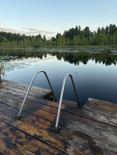 A wooden dock with metal railings extends into a calm body of water. Trees with green foliage are reflected in the dark water, creating a mirrored image of the shoreline. Lily pads dot the surface of the water near the reflection of the trees. The sky is a light blue with some wispy clouds, suggesting it is either early morning or late evening. The wooden planks of the dock appear wet, indicating recent rain or dew. The scene is tranquil and evokes a sense of peacefulness. The image is oriented vertically.