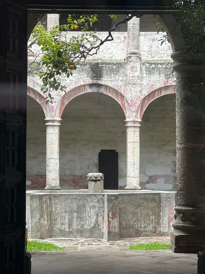 The image shows an interior courtyard with an arched walkway supported by stone columns. The walls are weathered and show signs of age, with peeling paint and a reddish hue around the arches. A branch from a citrus tree hangs into the courtyard, bearing several small, round fruits, likely oranges. In the foreground, a dark wooden door is partially visible on the left. The courtyard floor is paved with terracotta tiles, and a small patch of bright green grass with a yellow flower grows in the center. In the background, a dark doorway is visible beneath one of the arches. The scene suggests a historical or monastic setting, possibly located in Huejotzingo, Mexico, given the architectural style and presence of fruit-bearing trees common in the region. The lighting is soft and diffused, indicating an overcast day or a shaded area. There are no people visible in the image.