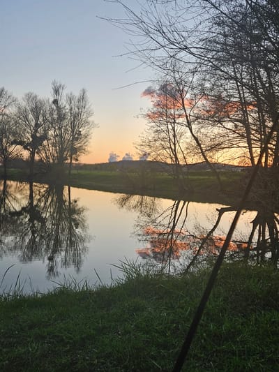The image shows an upside-down view of a landscape, likely a reflection in water. Bare trees are prominent in the upper part of the image, silhouetted against an orange and blue sky, possibly at sunrise or sunset. Grass and a field or shoreline are seen in the right portion. The inverted view suggests the scene is a reflection, perhaps in a calm body of water. Based on the prompt's information, it is plausible this photograph was taken in Gavisse, France.