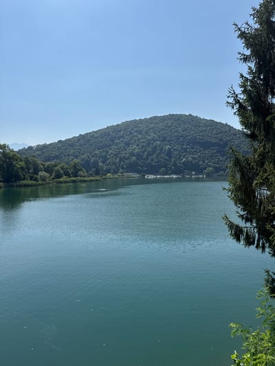A wide, clear shot captures a serene natural landscape. In the foreground, a large body of tranquil, teal-colored water stretches across the frame, its surface gently rippling. The left side of the image shows a dense, green treeline along the water's edge, leading to a steep, forested hill that dominates the background. The hill is covered in a thick canopy of trees and its slopes are bathed in sunlight. The sky above is a clear, pale blue. On the far right of the image, the dark green branches of a tall coniferous tree extend into the frame, partially obscuring the view of the hill. In the middle distance, a line of small white boats is docked along the shore, suggesting a marina or waterfront area. The overall impression is one of natural beauty and tranquility. This scene is likely located in or near Caslano, Switzerland, known for its picturesque lakefront and surrounding hills.