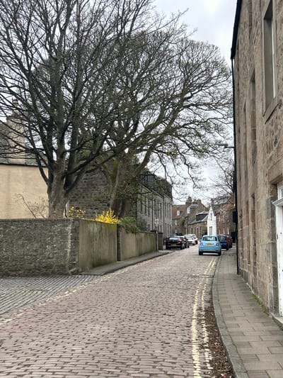 The image depicts a narrow street in Aberdeen City, United Kingdom, lined with buildings constructed of stone or brick, and paved with cobblestones. A large, leafless tree dominates the left side of the frame, its branches extending across the street. A line of parked cars is visible on the right side of the street. The overall light is overcast, suggesting a cloudy day. The street is empty of pedestrians.