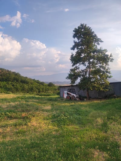 This image depicts a picturesque rural landscape in Spathades, Greece, bathed in the warm glow of late afternoon or early evening sunlight. The scene features a grassy field in the foreground, transitioning into a lush, green hillside dotted with trees. In the middle ground, a large, leafy tree stands beside a corrugated metal structure, likely a shed or barn. To the left of the tree and in front of the structure, a small white and orange skid-steer loader is parked, its tires covered in mud. In the distance, rolling hills and mountains are visible under a vast blue sky filled with dramatic, fluffy white clouds. The overall impression is one of tranquility and the peaceful coexistence of nature and human activity in a rural setting. The time of day is indicated by the long shadows and the golden light illuminating the grass. The weather appears to be clear with some cloud cover, typical for a pleasant day. The presence of the skid-steer loader suggests ongoing work or maintenance in the area. Visible text on the skid-steer loader reads "751".