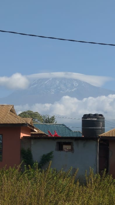 A mountain with clouds sits in the background, partially obscured. A black water tank sits atop a blue-roofed building next to a concrete building. A red cloth is also visible on a roof. Power lines stretch across the sky. Trees occupy the right side of the image, partially obscuring the building. The building is reddish brown and gray in color.