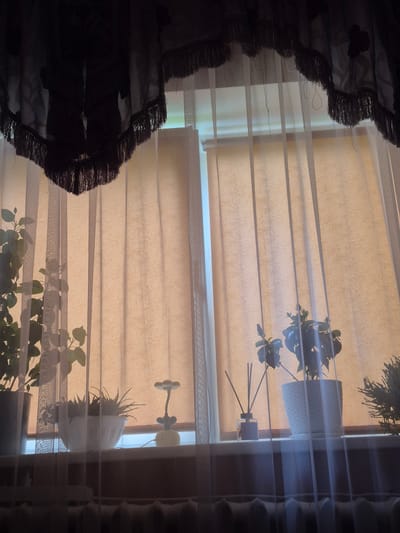 The image shows a window with sheer curtains overlaid with darker valances featuring fringe. Inside, on the windowsill, are several potted plants. To the left, a large plant with green leaves is visible in a dark pot. Next to it is a white ribbed pot containing an aloe vera plant. Further to the right, another plant with dark green leaves and buds is in a white patterned pot. Beside this plant is a dark glass diffuser with reeds. To the far right, a small evergreen plant is placed. A small, flower-shaped lamp is also on the windowsill. The background behind the plants consists of a rolled-up blind. The overall lighting suggests it is daytime. The image is of a domestic interior, likely a home or apartment. There is no indication of the specific location within the city of Švenčionys, Lithuania, but the context suggests a residential setting.