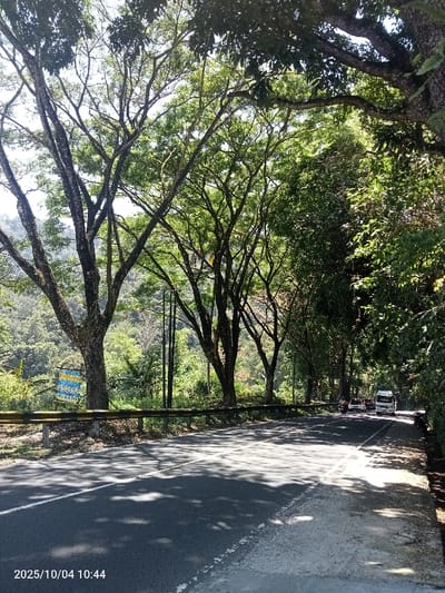This image, captured on 2025/10/04 at 10:44, shows a two-lane asphalt road in Ban Du La, Myanmar. The road, marked with white solid and dashed lines, is bordered on both sides by numerous tall, leafy trees that create a canopy and cast dappled shadows. A yellow and black metal guardrail runs along the left side of the road, behind which a dense, green, forested hillside is visible. A blue and yellow sign with unreadable text is attached to a tree trunk on the left. In the distance on the right lane, a white truck, a dark-colored car, and a scooter or motorcycle are observed traveling away from the viewer. Utility poles are interspersed among the trees on the left. The background consists of forested hills under a bright sky. No individuals are explicitly visible.