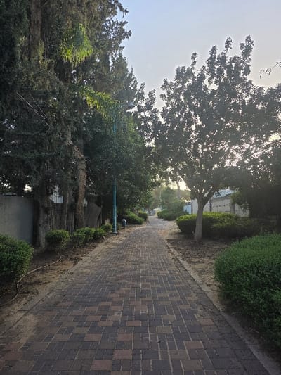 The image captures an outdoor paved pathway in Ramla, Israel, viewed from a low angle, receding into the distance. The pathway is composed of multi-toned rectangular pavers in shades of brown, red, and grey, arranged in a running bond pattern. The edges of the path are bordered by sandy soil.
On the left side of the path, a dense line of tall, dark green coniferous trees stands, partially obscuring a light-colored wall behind them. Green shrubbery forms a lower border along the path. A light blue street lamp pole is visible within the foliage on the left, approximately mid-frame. A light-colored hose or cable lies on the sandy ground next to the path, extending from the foreground into the mid-ground.
On the right side, green shrubbery also lines the path, beyond which a mature deciduous tree with dark, dense foliage stands. Sunlight is visible filtering through the leaves of this tree and behind it, indicating a bright morning or late afternoon. Further in the background, partially obscured by vegetation, are light-colored residential buildings.
The sky is a pale blue, with a bright haze near the horizon. No individuals, animals, or vehicles are present in the scene. The overall environment appears to be a landscaped area or park pathway within a residential district.