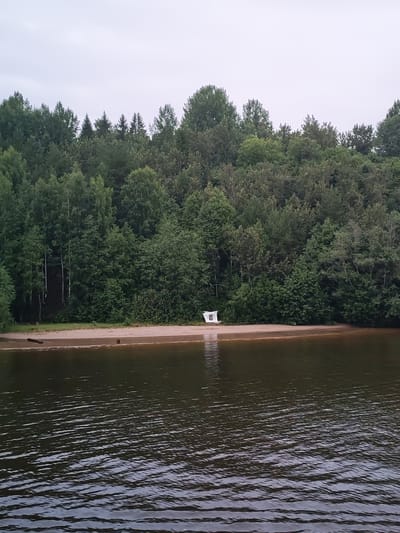 The image shows a serene natural landscape near Goritsy, Russia. A dense forest of green trees forms the backdrop, stretching across the horizon. In the foreground, a calm body of dark water reflects the overcast sky. A sandy shoreline separates the water from the forest, with a small, white, tent-like structure positioned on the beach. The scene suggests a peaceful, undeveloped natural area.