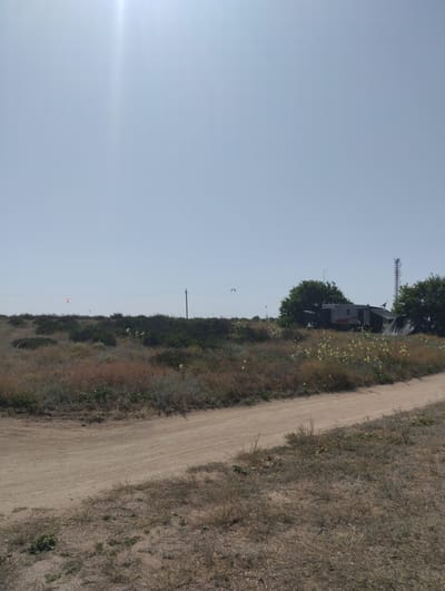 The image shows a bright, sunny day in Dolzhanskaya, Russia, with a wide, dusty path winding through dry, scrubby vegetation. In the distance, a cluster of dark green trees surrounds a few buildings, including a mobile home with a red stripe and a tall, metallic tower. Several kite surfers are visible in the sky, their colorful kites dotting the pale blue expanse. The overall scene conveys a sense of open space and outdoor activity.