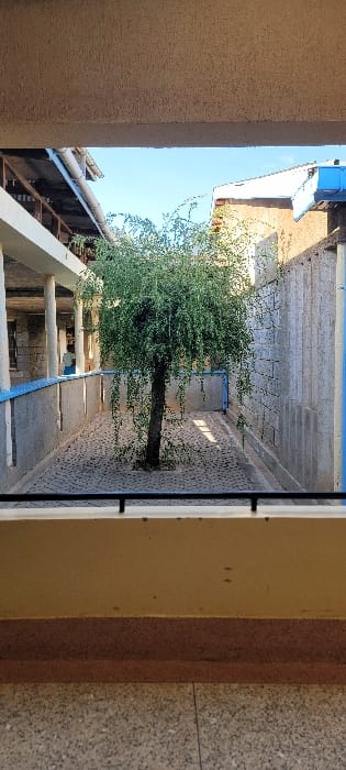 The image captures an outdoor courtyard or narrow passage, viewed from a slightly elevated position, possibly from a window or balcony opening of an adjacent building. The perspective looks downwards and across the space.

In the center of the courtyard stands a lush, medium-sized tree with dense green foliage and a dark, sturdy trunk. The ground beneath and around the tree is paved with light-colored, possibly grey or beige, irregularly shaped stones or cobblestones, giving the area a rustic texture. Sunlight falls on parts of the paving, creating distinct shadows, particularly on the left side of the tree and extending across the ground.

On the left side of the courtyard, a building with multiple levels is visible. It features horizontal structures that could be balconies or rooflines, and some exposed wooden or metal beams are visible beneath a roof. Notable blue accents are present on railings or decorative strips along this building, adding a pop of color to the otherwise earthy and stone palette. The walls of this building appear to be made of light-colored material, possibly stone or concrete blocks. On the right side of the courtyard, another building or wall rises, also appearing to be constructed of light-colored stone.

The immediate foreground, on the left and right edges, shows parts of the structure from which the photograph was taken. On the left, a light brown or beige textured wall is visible. On the right, a similar wall is seen, along with a dark, narrow vertical element, possibly part of a window frame or railing.

Above the buildings, a clear, bright blue sky is visible, indicating a sunny day. The strong shadows cast by the tree and buildings further confirm bright daylight conditions. No people or animals are visible, and no discernible activity is taking place. There is no visible text in the image.