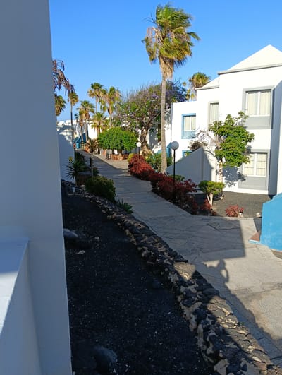 A sun-drenched, paved pathway winds uphill through a landscaped area within what appears to be a resort or residential complex in Tías, Spain. White buildings with clean lines and blue or grey architectural accents are visible on both sides, typical of island architecture.

Numerous palm trees, some with fronds appearing to sway in a gentle breeze, are scattered throughout the scene. Various shrubs, including vibrant red-leafed plants, green bushes, and a tree with purple blossoms, line the path and surround the buildings. The foreground features a bed of dark, volcanic-looking gravel or soil, bordered by a low wall constructed from rough, dark rocks. A white lamppost is visible along the pathway on the right.

Strong, bright sunlight creates distinct shadows across the path and buildings, suggesting either morning or late afternoon on a clear day. The sky is a cloudless, bright blue. The scene is tranquil and devoid of people or discernible activity. No visible text is present.