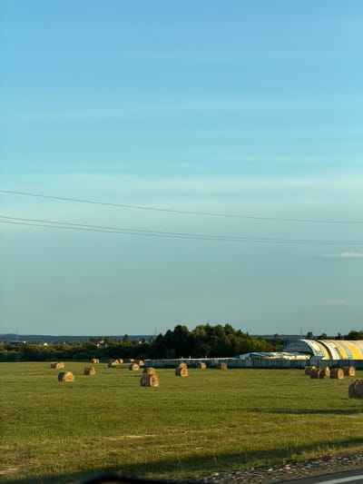 This is a landscape photograph taken in Togashevo, Russia. The image depicts a vast, grassy field dotted with numerous round hay bales. In the background, a line of trees forms a natural barrier, beyond which a cluster of buildings and a distinctive arched structure with yellow and blue striped sheeting are visible. Power lines are strung across the upper portion of the frame against a clear, pale blue sky. The lighting suggests it is late afternoon or early evening, casting long shadows across the field. The foreground shows a blurred dark area, possibly a road or path.
