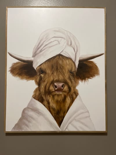 The image shows a framed painting of a brown cow with white fabric draped over its head and body, mounted on a gray wall. The location is Woodridge, United States of America. The painting is oriented with the cow facing to the right. The frame is a thin, gold color. The background of the painting is white. The cow's face is visible, with its nose prominently displayed. Its horns are visible, partially covered by the white fabric. The fabric appears to be draped loosely, with folds and shadows indicating its texture.