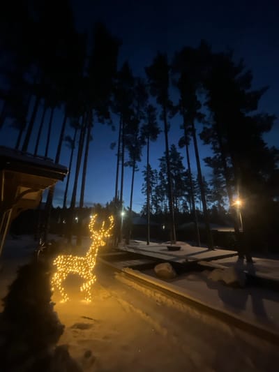 A nighttime scene features a glowing reindeer decoration near a snow-covered area. Tall, dark trees line the background against a blue twilight sky. A building edge is visible along the right side, with snow piled on top. A street lamp casts a faint glow among the trees. The overall impression is a quiet, wintery landscape with holiday lights adding warmth.