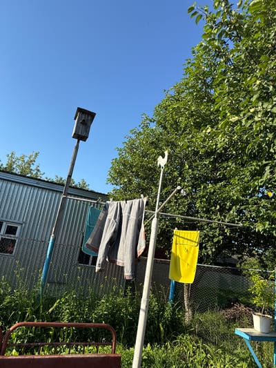In a rural outdoor setting under a clear blue sky, a weathered wooden birdhouse stands on a tall pole to the left of the frame. Below it, a clothesline strung between poles holds several items of laundry: a folded blue towel, a grey jacket, and a bright yellow towel. A white metal rooster weather vane is perched atop the clothesline pole. In the background, a corrugated metal structure, possibly a shed or outbuilding, is visible, with a chain-link fence running in front of it. Dense green foliage, including trees and tall grass, dominates the lower and right portions of the image. A portion of a red metal bench or frame is in the foreground, and to the far right, a small potted plant sits on a blue table. The scene suggests a domestic outdoor space likely in Verkhneyarkeyevo, Russia, on a sunny day.