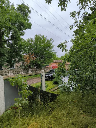 The image depicts a rural or semi-rural residential scene in Pysarivka, Ukraine, viewed from an elevated position looking down.

In the immediate foreground, a dense patch of tall green grass and weeds occupies the lower right and center. A small leafy plant with reddish stems is visible on the left, growing near a partially obscured, dark, possibly metallic or fabric barrier. Two vertical white concrete or painted posts with green-painted sections are prominent in the mid-left and mid-right foreground, framing what appears to be a partially open gate leading to a dirt or gravel path.

Beyond the gate and path, a black passenger vehicle, possibly an SUV, is parked on a grassy patch to the right of the path. The vehicle's front license plate (partially visible, appearing to be Ukrainian, 'BH9999AI') is discernible. Behind the vehicle, a concrete or stone fence with decorative balusters runs horizontally across the midground. To the left of the fence, a one-story house with light-colored, possibly stucco or stone walls and white-framed windows is visible. A smaller, darker structure is partially visible behind this house.

Further back, a cluster of various trees with dense green foliage dominates the upper and mid-sections of the image. Some trees closer to the houses show patches of reddish-brown foliage, indicating possible dormancy or stress. In the upper background, multiple parallel power lines traverse the frame against an overcast, light gray sky. To the far right, a branch of an apple tree with small, green apples extends into the frame.

No individuals or active subjects are present in the scene. The overall environment appears lush and green, characteristic of a vegetated outdoor setting under cloudy weather conditions.