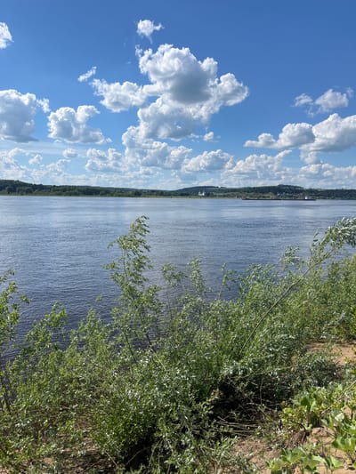 A wide, tranquil river flows under a bright blue sky dotted with fluffy white cumulus clouds. The foreground is dominated by lush, green foliage and sandy ground, with some of the plants reaching out towards the water. In the middle ground, the river stretches towards a distant, tree-lined shore. A long, flat barge navigates the river in the mid-distance. On the far bank, a settlement with buildings and a prominent white church with a blue dome is visible nestled amongst rolling green hills. The overall scene depicts a serene natural landscape with a touch of human habitation.