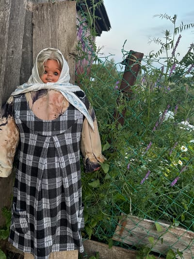 In the village of Kushtomak, Russia, a weathered wooden fence stands beside a doll. The doll, dressed in a plaid jumper and a patterned blouse, is positioned outdoors. A white scarf is tied around its head. A green wire mesh fence is also visible, with green foliage and purple flowers growing around it. The sky above is overcast.